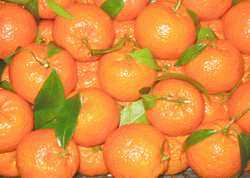 Foto: Proposta di vendita Frutta e legumi Clementina (mandarancio)