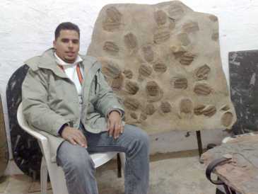 Foto: Proposta di vendita Conchiglie, fossila e pietra