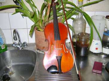 Foto: Proposta di vendita 2 Violini THIBOUVILLE