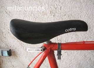 Foto: Proposta di vendita Bicicletta CITROEN - RIEJU