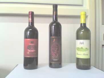 Foto: Proposta di vendita Vini Italia