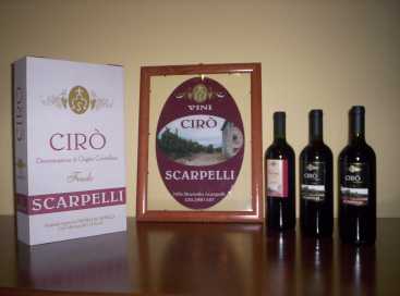 Foto: Proposta di vendita Vini Italia - Calabria