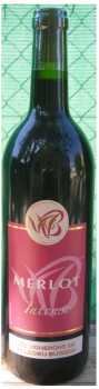 Foto: Proposta di vendita Vini Rosso - Merlot - Francia - Linguadoca