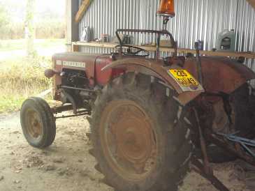 Foto: Proposta di vendita Macchine agricola MC CORMICK - MC CORMICK F 240