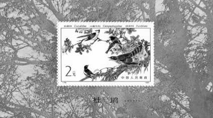 Foto: Proposta di vendita Foglietto di francobolli UCCELLI - Flora