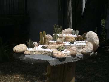 Foto: Proposta di vendita Conchiglie, fossile e pietra JARDIN EXOTIQUE ARIDE MEXICAIN DE SALON.PIECE UNIQ