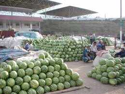 Foto: Proposta di vendita Frutta e legumi Cocomero (anguria)