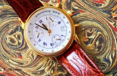 Foto: Proposta di vendita Orologio da polso meccanico Uomo - DELMA - DELMA: ROYAL GEOGRAPHICAL SOCIETY 1980