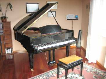 Foto: Proposta di vendita Pianoforte a coda CALISIA