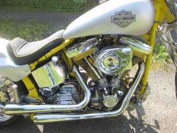 Foto: Proposta di vendita Moto 1340 cc - HARLEY-DAVIDSON - SOFTAIL CUSTOM