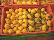 Foto: Proposta di vendita Frutta e legumi Mandarino