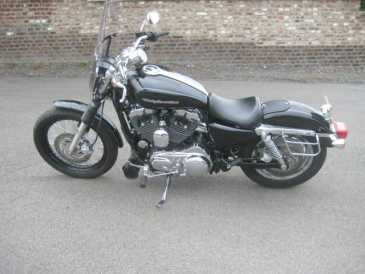 Foto: Proposta di vendita Moto 1200 cc - HARLEY-DAVIDSON - SPORTSTER CUSTOM