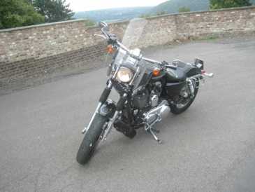 Foto: Proposta di vendita Moto 1200 cc - HARLEY-DAVIDSON - SPORTSTER CUSTOM