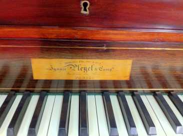 Foto: Proposta di vendita Pianoforte a coda PLEYEL - PIANOFORTE VERNIS TAMPON