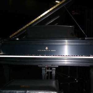 Foto: Proposta di vendita Pianoforte a coda STEINWAY - DE CONCERT MODELE D