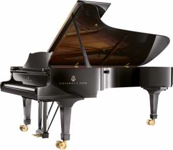 Foto: Proposta di vendita Pianoforte a coda STEINWAY - DE CONCERT MODELE D