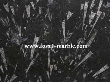 Foto: Proposta di vendita Arredamento BLACK SLAB FROM FOSSILIZED MARBLE MOROCCO - BLACK SLAB FOSSILIZED MARBLE MOROCCO