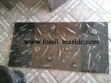Foto: Proposta di vendita Arredamento BLACK SLAB FOSSILIZED MARBLE MOROCCO - BLACK FOSSILIZED MARBLE MOROCCO