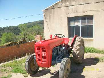 Foto: Proposta di vendita Macchine agricola MASSEY FERGUSON - MASSEY FERGUSON 35X