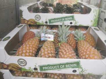 Foto: Proposta di vendita Frutta e legumi Ananas