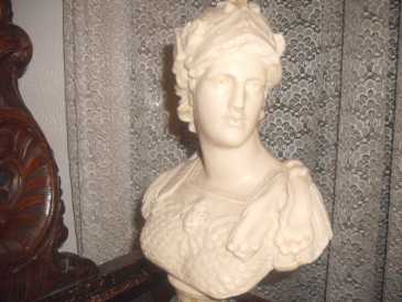 Foto: Proposta di vendita Busto Marmo - RAPPRESENTAZIONE UMANA - XVI secolo
