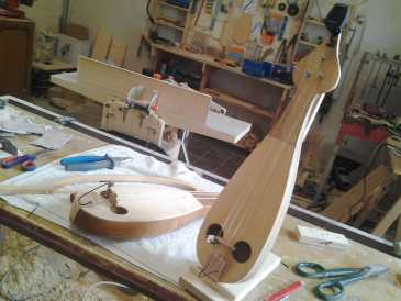 Foto: Proposta di vendita Chitarra e strumento a corda ARTIGIANALE - LIRA CALABRESE