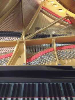 Foto: Proposta di vendita Pianoforte a coda STEINWAY & SONS - MODELLO D