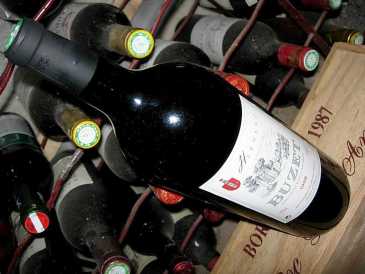 Foto: Proposta di vendita Vini Francia - Sud-Ovest