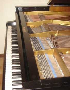Foto: Proposta di vendita Strumento musicala BLUTHNER - PIANOFORTE A MEZZA CODA