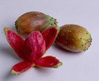 Foto: Proposta di vendita Frutta e leguma Fico d'India