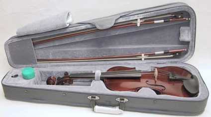 Foto: Proposta di vendita Violino SKY
