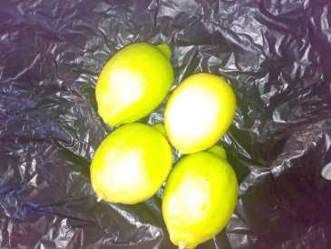 Foto: Proposta di vendita Frutta e legumi Limone
