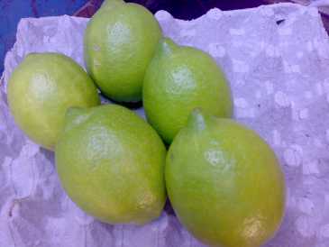 Foto: Proposta di vendita Frutta e legumi Limone