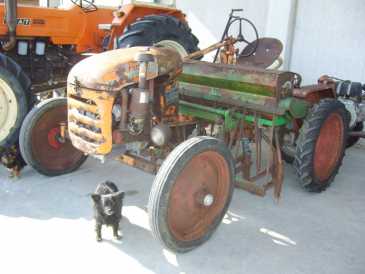 Foto: Proposta di vendita Macchine agricola BODINI - IRIS CENTOMESTIERI