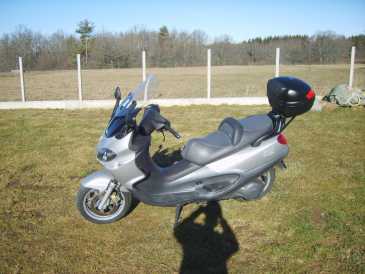 Foto: Proposta di vendita Scooter 500 cc - PIAGGIO - PIAGGIO X9 500