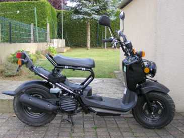 Foto: Proposta di vendita Scooter 50 cc - HONDA - ZOOMER