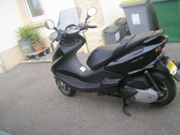 Foto: Proposta di vendita Scooter 125 cc - YAMAHA - MAJESTY