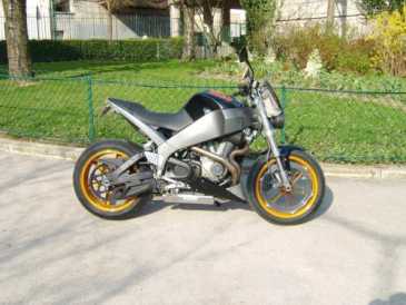 Foto: Proposta di vendita Moto 1200 cc - BUELL - XB12S