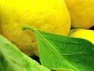 Foto: Proposta di vendita Frutta e leguma Limone