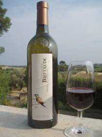 Foto: Proposta di vendita Vini Rosso - Merlot - Francia - Linguadoca