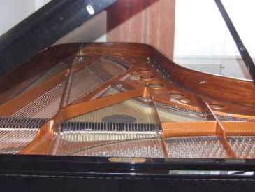 Foto: Proposta di vendita Pianoforte a coda SCHIMMEL K256 - SCHIMMEL K 256